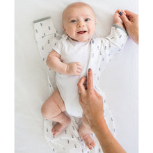 Load image into Gallery viewer, Transitional Swaddle Sacks