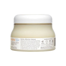 Load image into Gallery viewer, Burt's Bees - Baby Multipurpose Healing Ointment With Shea Butter
