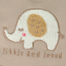 Load image into Gallery viewer, 5 Pack Embroidered Baby Bibs
